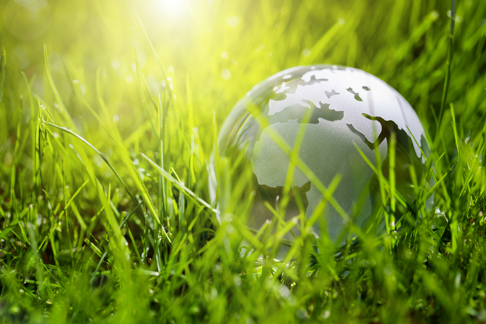 Baileys Is Creating A Greener Northamptonshire