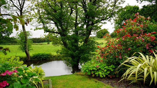 Can You Hire A Skip For Garden Waste