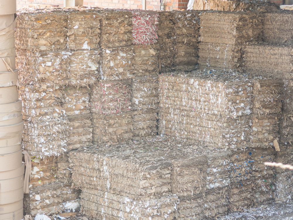 Cardboard bales