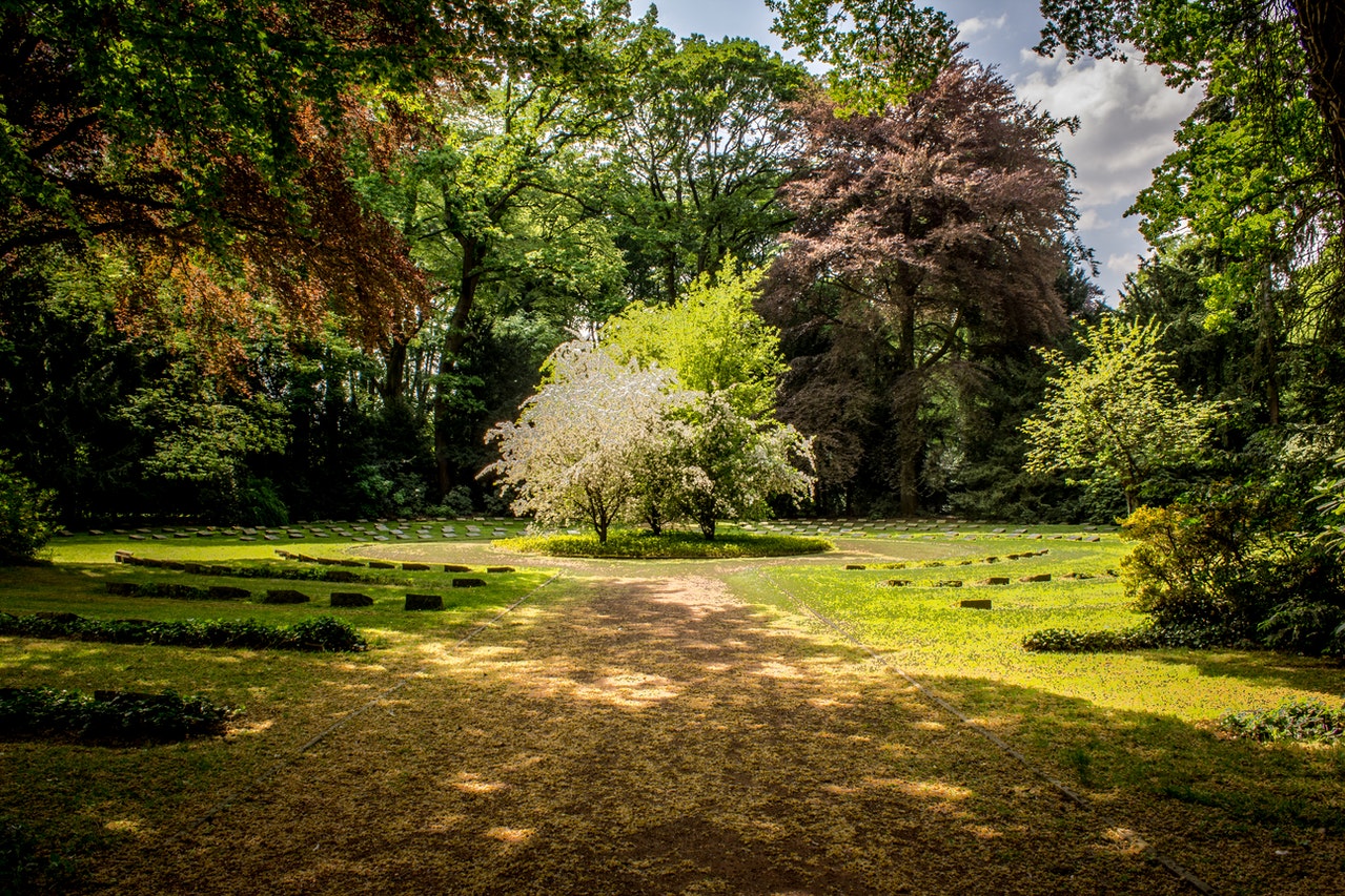 Where Can I Get Rid Of Garden Waste?