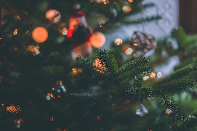 How To Recycle Christmas Trees