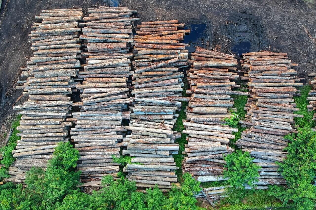 Benefits of Commercial Recycling for the Environment