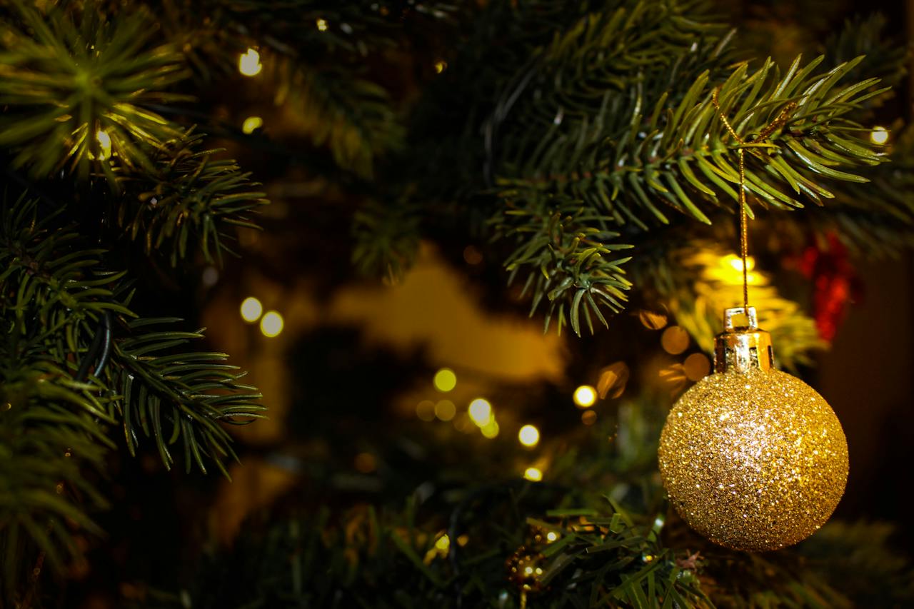 christmas tree disposal